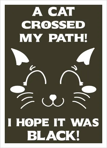 Eine schwarze Katze hat meinen Weg gekreuzt – ich liebe schwarze Katzen