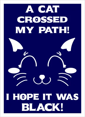 Eine schwarze Katze hat meinen Weg gekreuzt – ich liebe schwarze Katzen