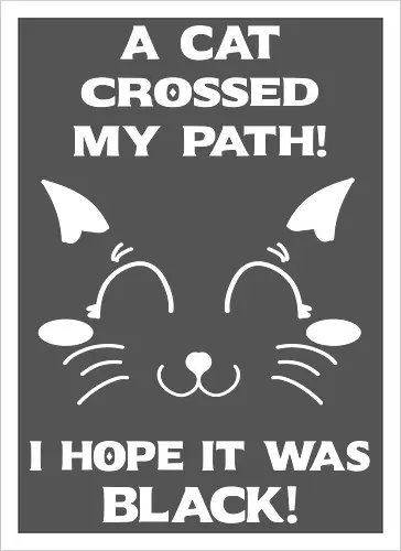 Eine schwarze Katze hat meinen Weg gekreuzt – ich liebe schwarze Katzen