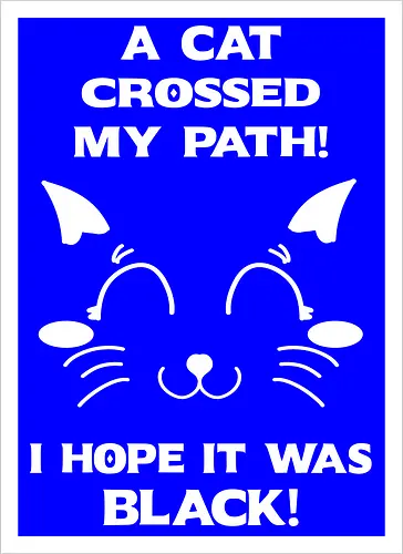 Eine schwarze Katze hat meinen Weg gekreuzt – ich liebe schwarze Katzen