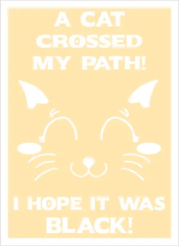 Eine schwarze Katze hat meinen Weg gekreuzt – ich liebe schwarze Katzen