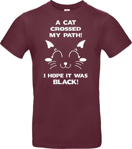 Eine schwarze Katze hat meinen Weg gekreuzt – ich liebe schwarze Katzen