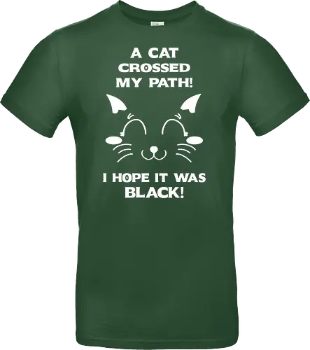 Eine schwarze Katze hat meinen Weg gekreuzt – ich liebe schwarze Katzen