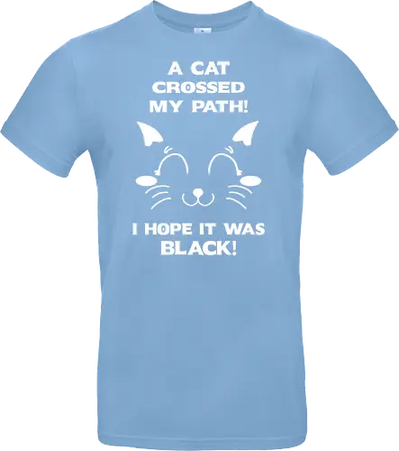 Eine schwarze Katze hat meinen Weg gekreuzt – ich liebe schwarze Katzen