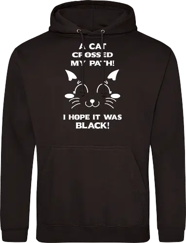 Eine schwarze Katze hat meinen Weg gekreuzt – ich liebe schwarze Katzen