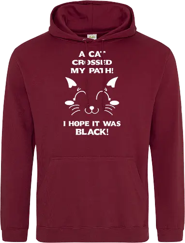 Eine schwarze Katze hat meinen Weg gekreuzt – ich liebe schwarze Katzen