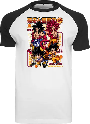 Son Goku Super Saiyajin 4