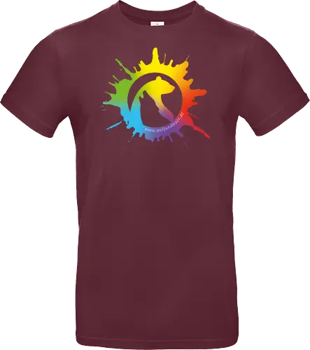Logo (Colorful) - Standard T-Shirt