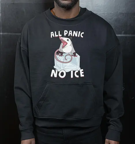 All Panic No Ice