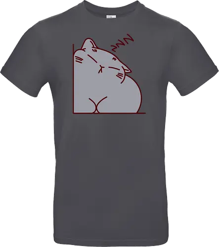 Graue Katze schläft