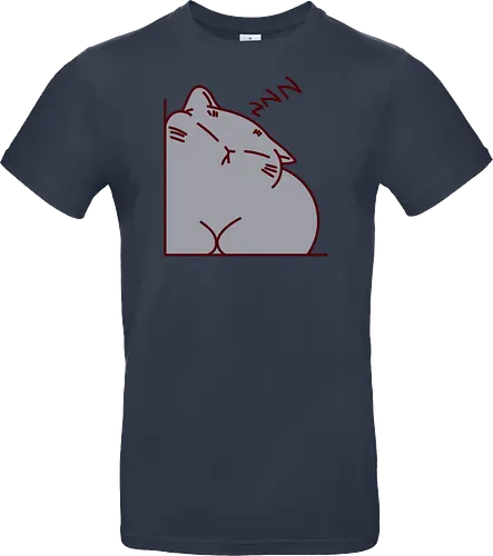 Graue Katze schläft