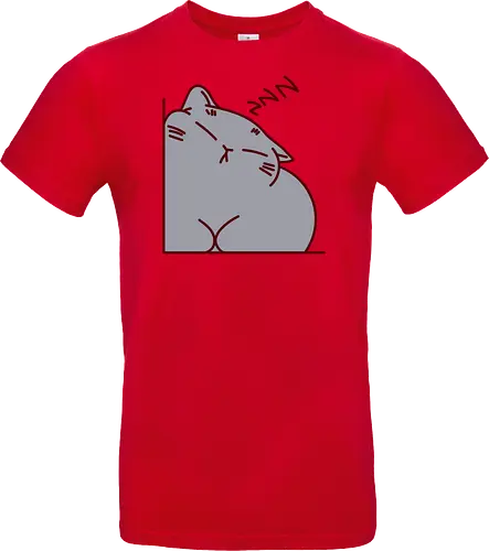 Graue Katze schläft