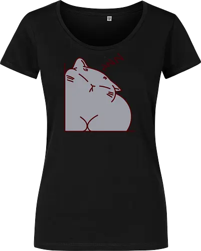 Graue Katze schläft