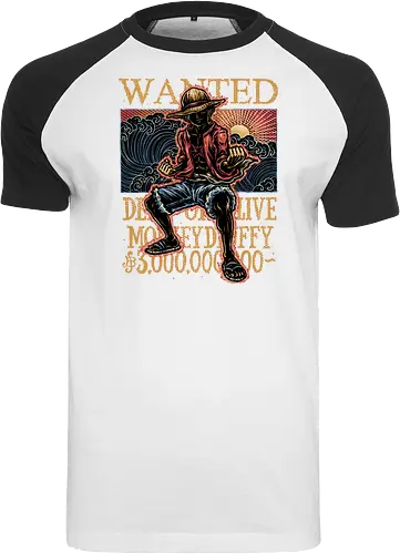 Wanted in the High Seas