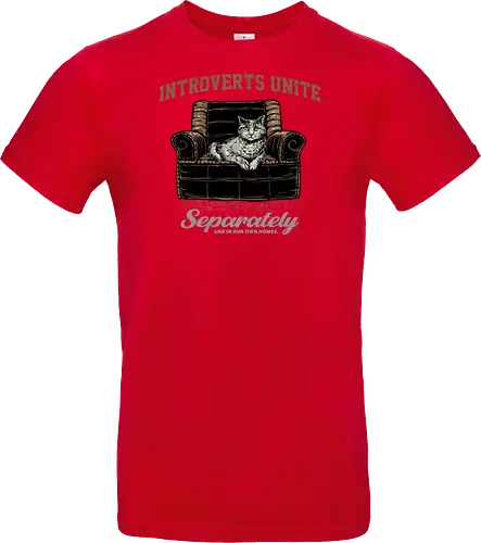 Introverts Unite Separately