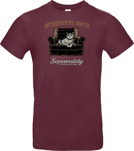 Introverts Unite Separately