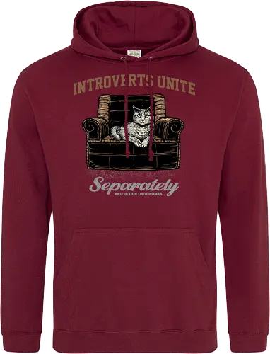 Introverts Unite Separately