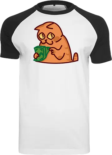 Gato contando dinero