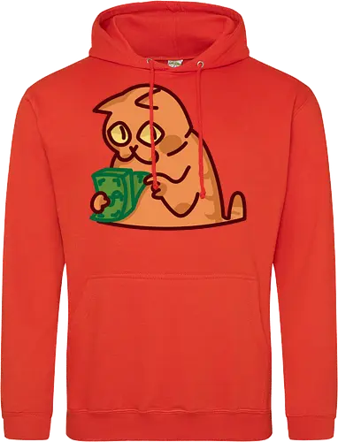 Gato contando dinero