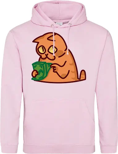 Gato contando dinero