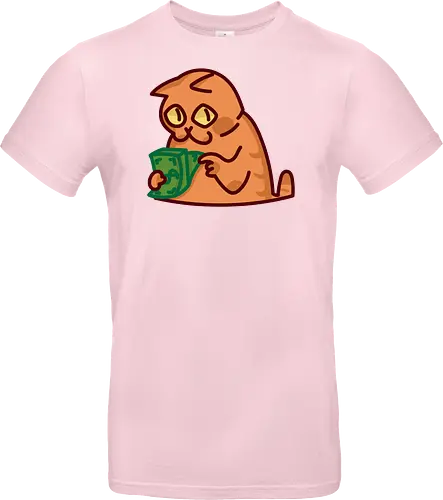 Gato contando dinero