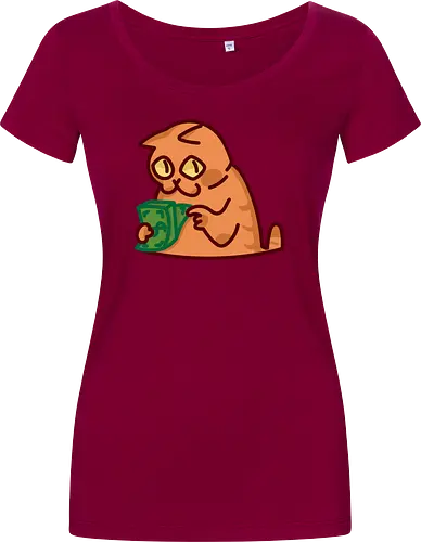 Gato contando dinero