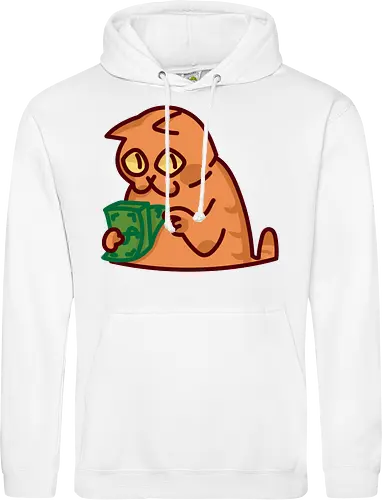 Gato contando dinero