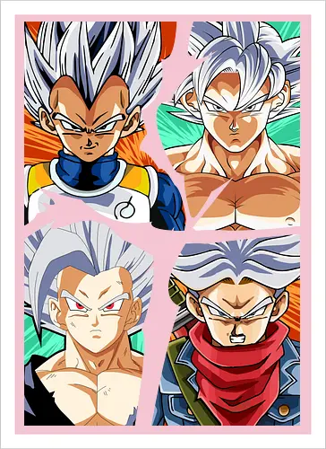 the four saiyan god