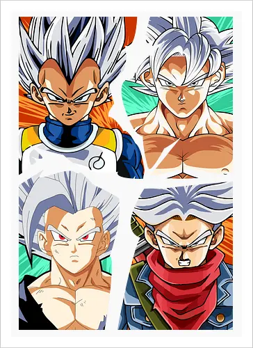 the four saiyan god