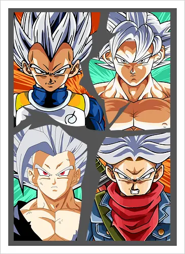 the four saiyan god