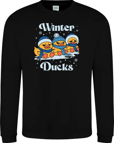 Winter Ducks