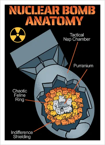Nuclear Bomb Anatomy Cat Parody