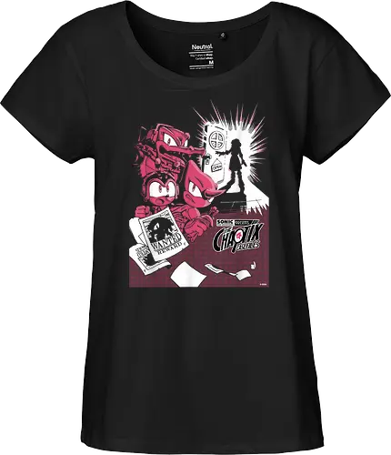 Hedgehog The Hedgehog Chaotix Casefiles Retro Kult Gamer