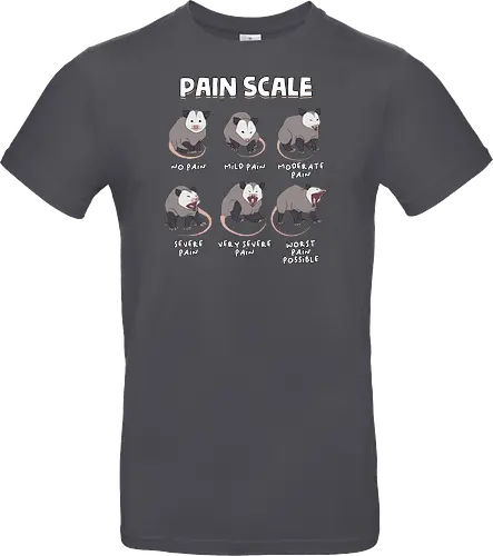Pain Scale