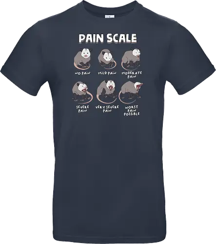 Pain Scale