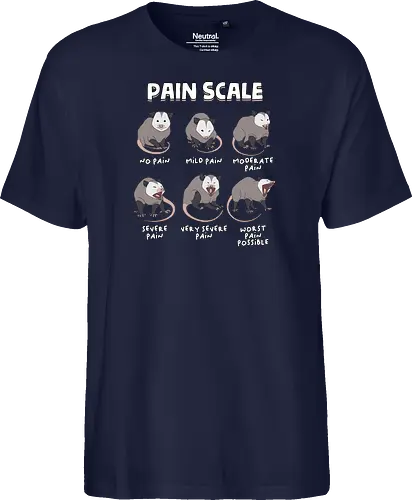 Pain Scale