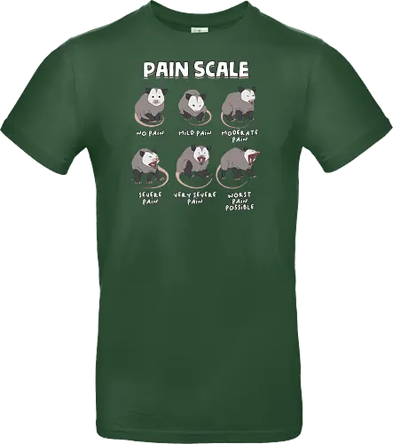 Pain Scale
