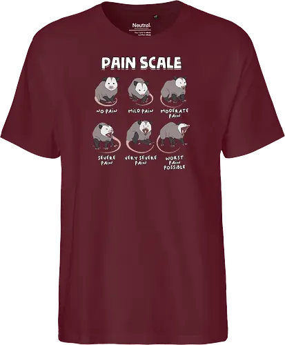 Pain Scale