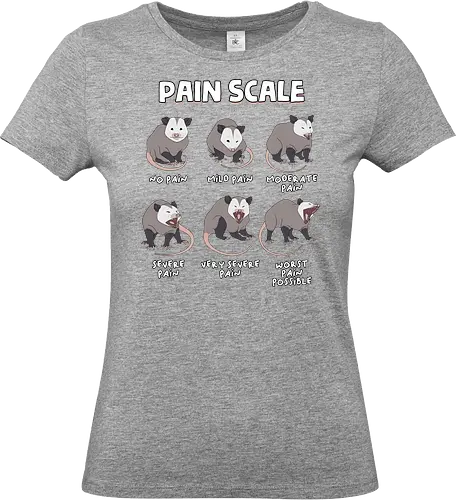Pain Scale - pain scale, emergency department, funny nurse, healthcare, icu nurse, medical humor, nurse, nurse day, nurse life, nursing school, nursing student, opossum, physical therapist, physical therapy, possum - Standard T-Shirt (Women)