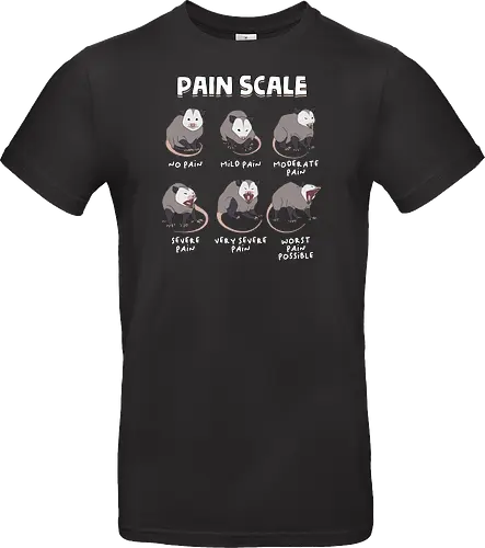 Pain Scale