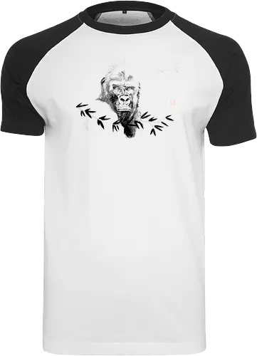 gorilla beringei beringei