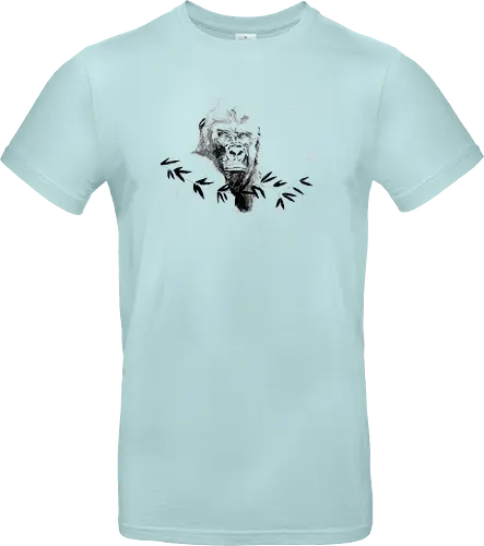 gorilla beringei beringei