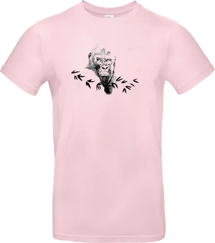 gorilla beringei beringei