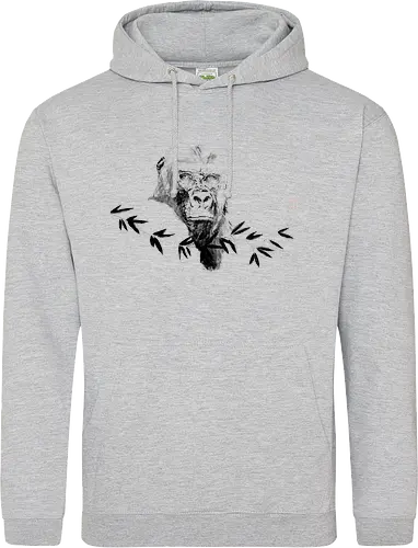 gorilla beringei beringei