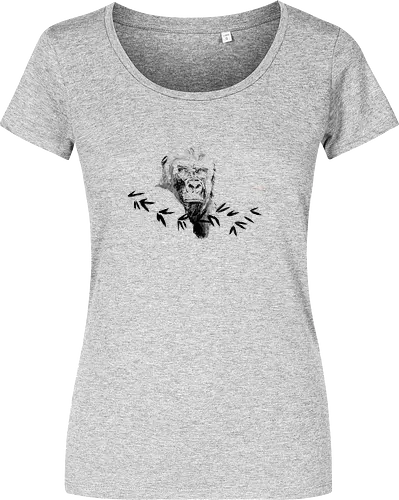 gorilla beringei beringei