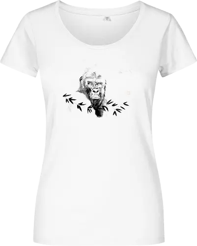 gorilla beringei beringei