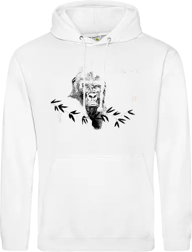 gorilla beringei beringei