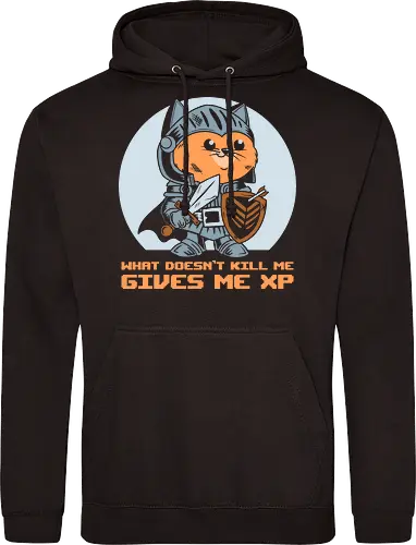 What Doesn’t Kill Me Gives Me XP Cat 