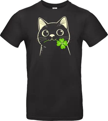 Lucky Black Cat