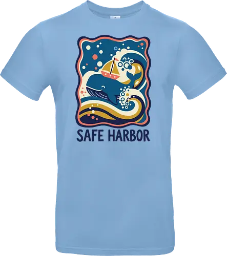 Safe Harbor